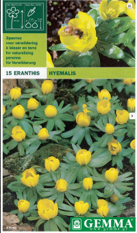 Eranthus Hyemalis